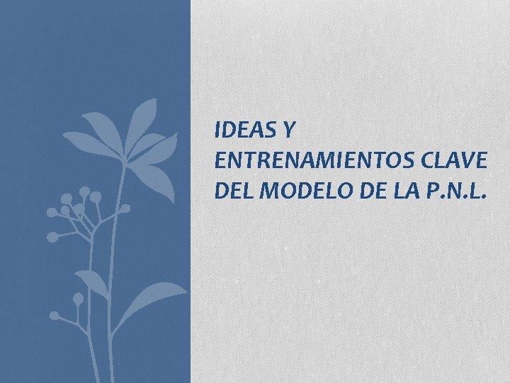 IDEAS Y ENTRENAMIENTOS CLAVE DEL MODELO DE LA P. N. L. 