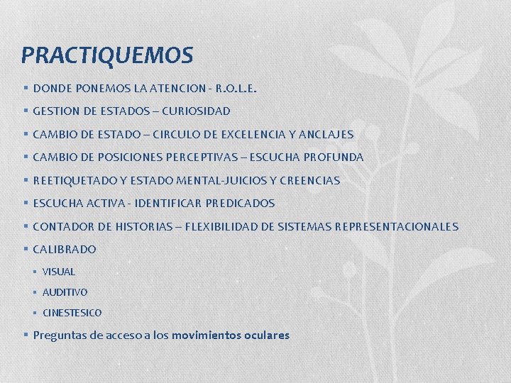PRACTIQUEMOS § DONDE PONEMOS LA ATENCION - R. O. L. E. § GESTION DE