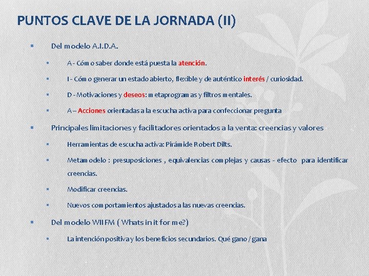 PUNTOS CLAVE DE LA JORNADA (II) Del modelo A. I. D. A. § §