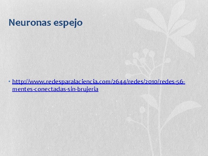 Neuronas espejo • http: //www. redesparalaciencia. com/2644/redes/2010/redes-56 mentes-conectadas-sin-brujeria 