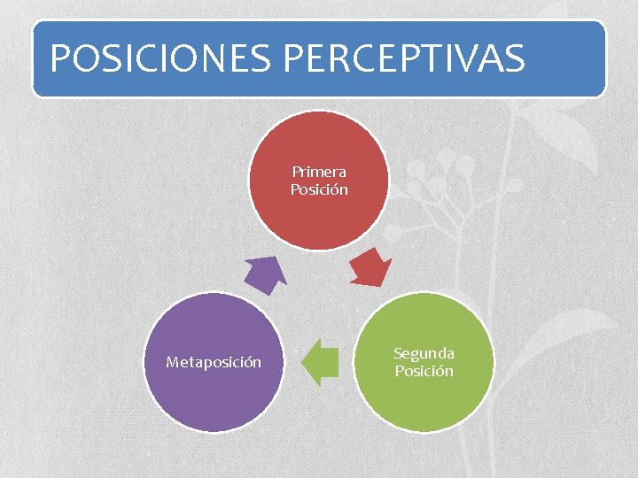 POSICIONES PERCEPTIVAS Primera Posición Metaposición Segunda Posición 