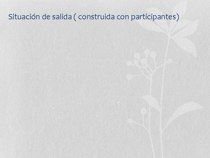 Situación de salida ( construida con participantes) 