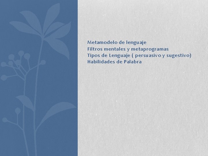 Metamodelo de lenguaje Filtros mentales y metaprogramas Tipos de Lenguaje ( persuasivo y sugestivo)