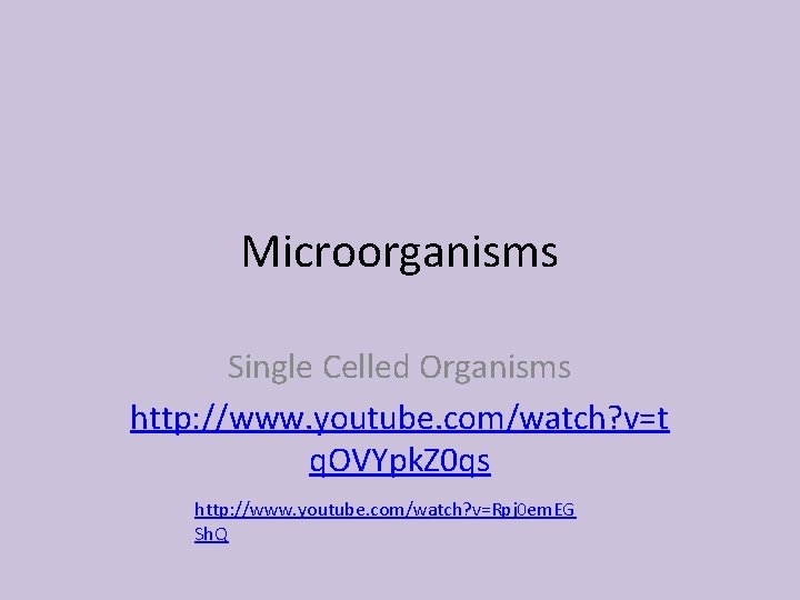 Microorganisms Single Celled Organisms http: //www. youtube. com/watch? v=t q. OVYpk. Z 0 qs