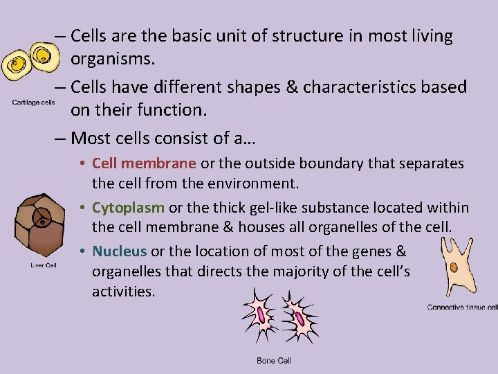 – Cells are the basic unit of structure in most living organisms. – Cells