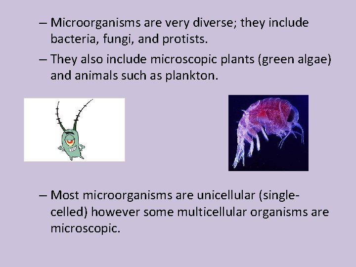 – Microorganisms are very diverse; they include bacteria, fungi, and protists. – They also