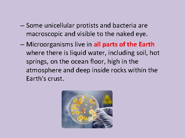 – Some unicellular protists and bacteria are macroscopic and visible to the naked eye.
