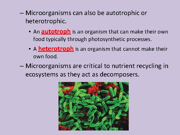 – Microorganisms can also be autotrophic or heterotrophic. • An autotroph is an organism