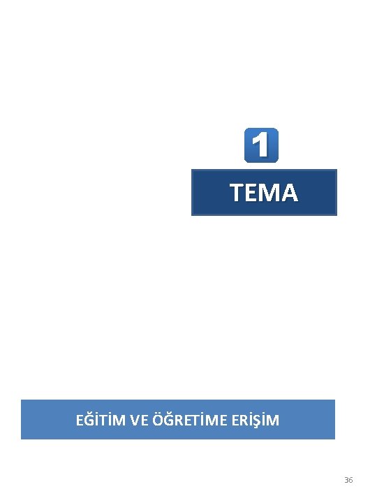 1 GELECEĞE YÖNELELİM 1. TEMA EĞİTİM VE ÖĞRETİME ERİŞİM 36 