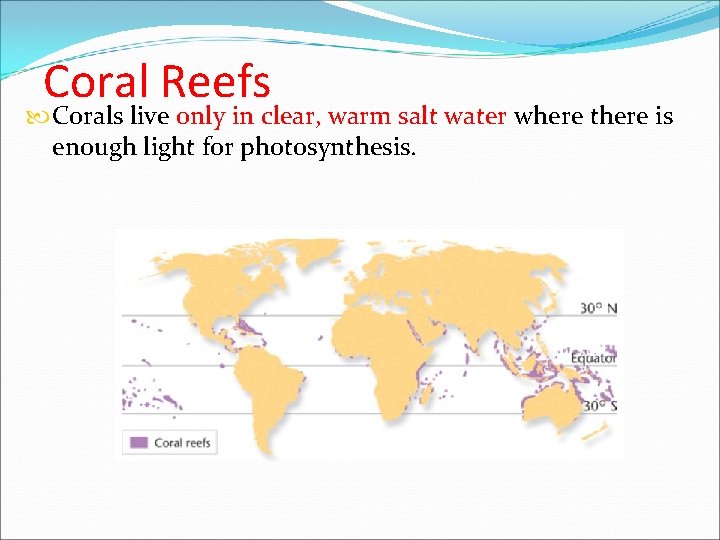 Coral Reefs Corals live only in clear, warm salt water where there is enough