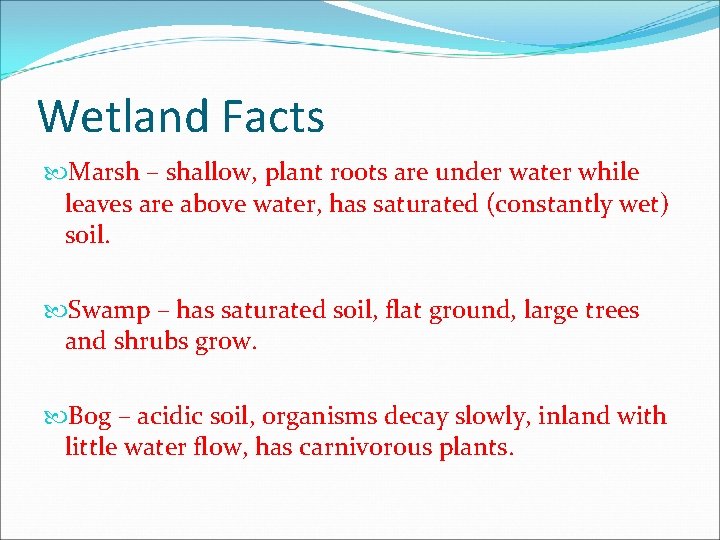 Wetland Facts Marsh – shallow, plant roots are under water while leaves are above