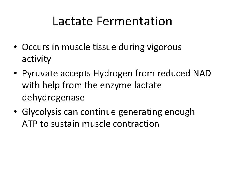 Lactate Fermentation • Occurs in muscle tissue during vigorous activity • Pyruvate accepts Hydrogen