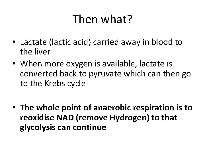 Then what? • Lactate (lactic acid) carried away in blood to the liver •