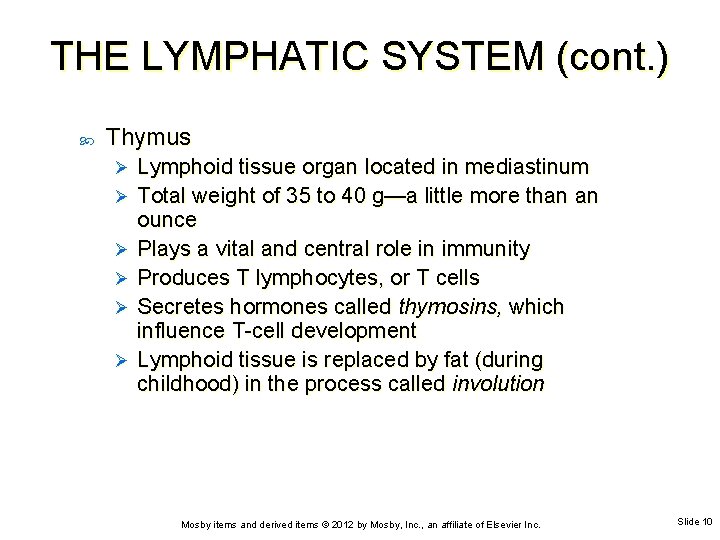 THE LYMPHATIC SYSTEM (cont. ) Thymus Ø Ø Ø Lymphoid tissue organ located in