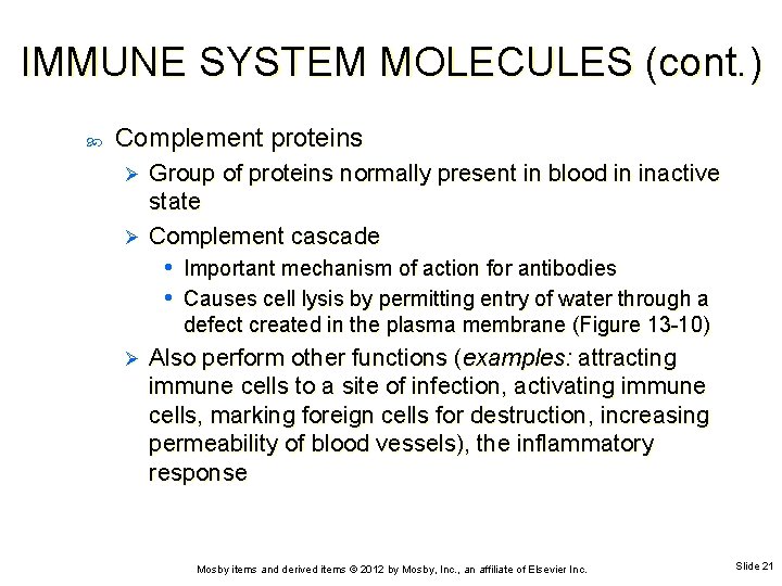 IMMUNE SYSTEM MOLECULES (cont. ) Complement proteins Group of proteins normally present in blood