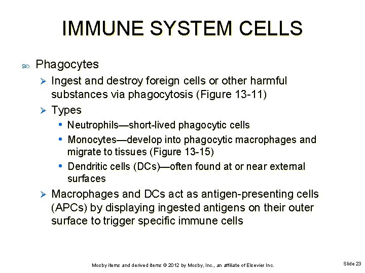 IMMUNE SYSTEM CELLS Phagocytes Ingest and destroy foreign cells or other harmful substances via