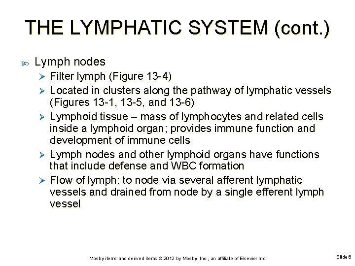 THE LYMPHATIC SYSTEM (cont. ) Lymph nodes Ø Ø Ø Filter lymph (Figure 13
