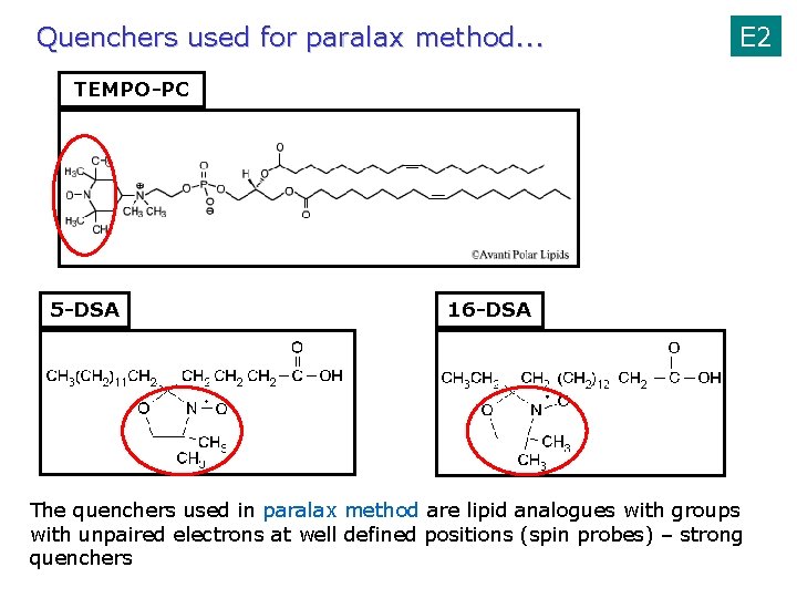 Quenchers used for paralax method. . . E 2 TEMPO-PC 5 -DSA 16 -DSA