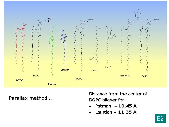 Parallax method. . . Distance from the center of DOPC bilayer for: • Patman