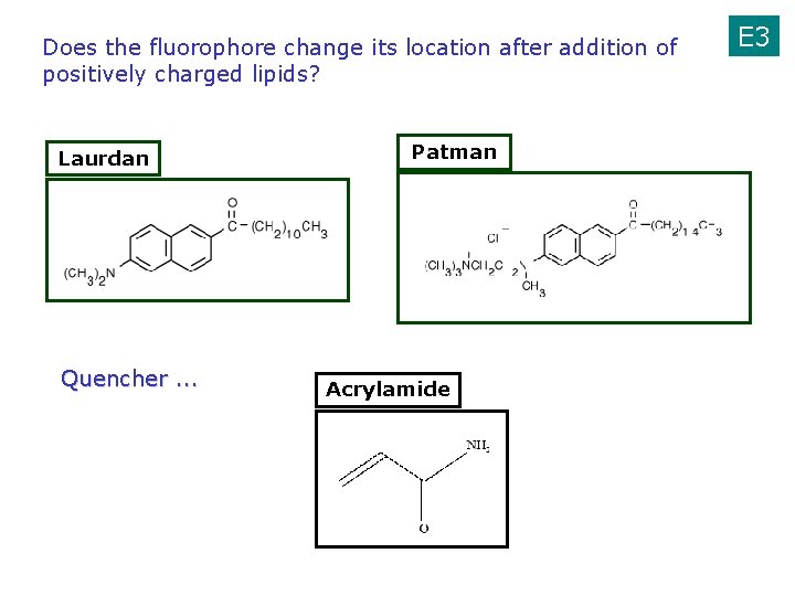 Does the fluorophore change its location after addition of positively charged lipids? Laurdan Quencher.