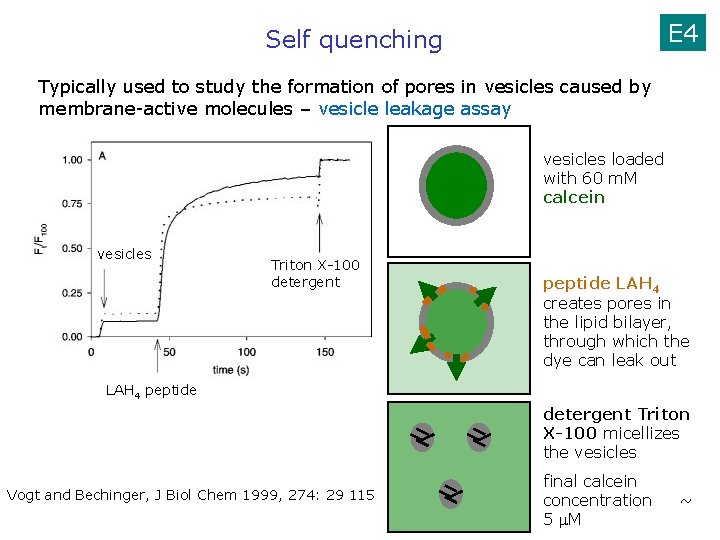 E 4 Self quenching Typically used to study the formation of pores in vesicles