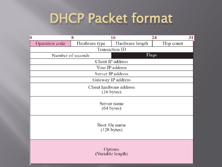 DHCP Packet format 