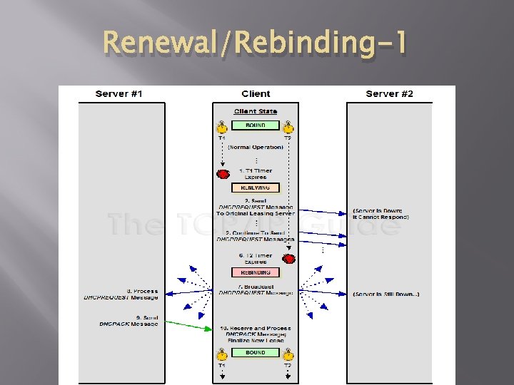 Renewal/Rebinding-1 