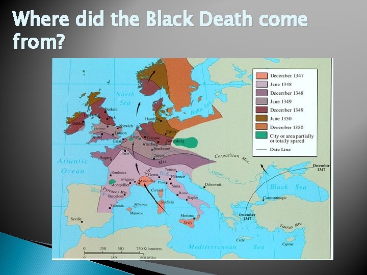 Where did the Black Death come from? 