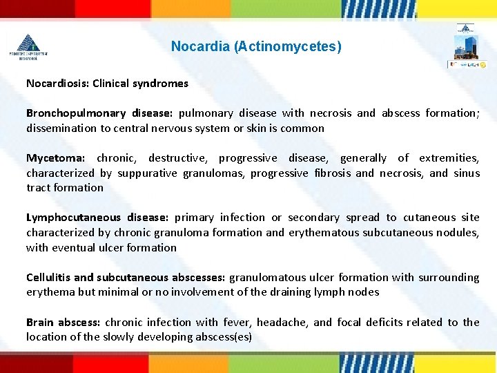 Nocardia (Actinomycetes) Nocardiosis: Clinical syndromes Bronchopulmonary disease: pulmonary disease with necrosis and abscess formation;