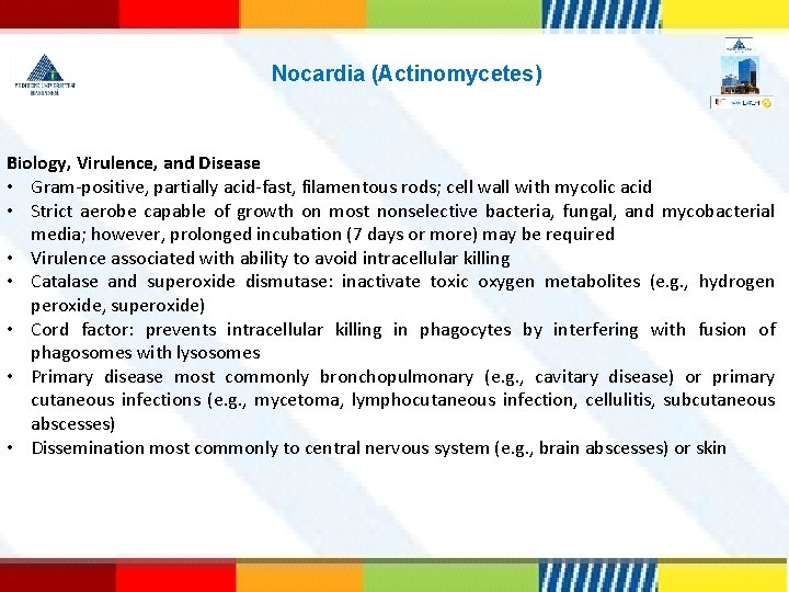 Nocardia (Actinomycetes) Biology, Virulence, and Disease • Gram-positive, partially acid-fast, filamentous rods; cell wall