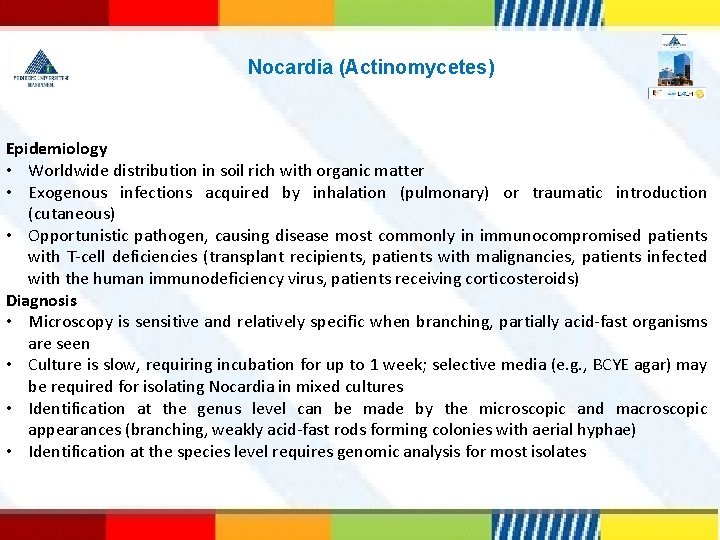 Nocardia (Actinomycetes) Epidemiology • Worldwide distribution in soil rich with organic matter • Exogenous