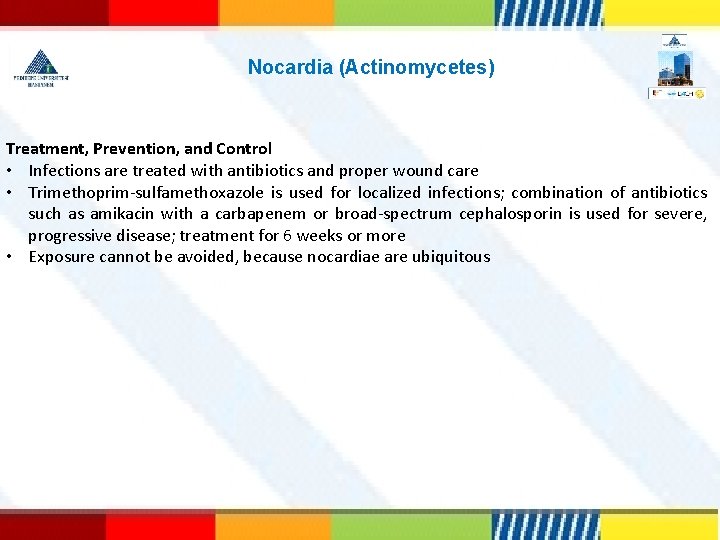 Nocardia (Actinomycetes) Treatment, Prevention, and Control • Infections are treated with antibiotics and proper