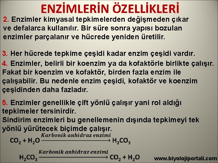 ENZİMLERİN ÖZELLİKLERİ 2. Enzimler kimyasal tepkimelerden değişmeden çıkar ve defalarca kullanılır. Bir süre sonra