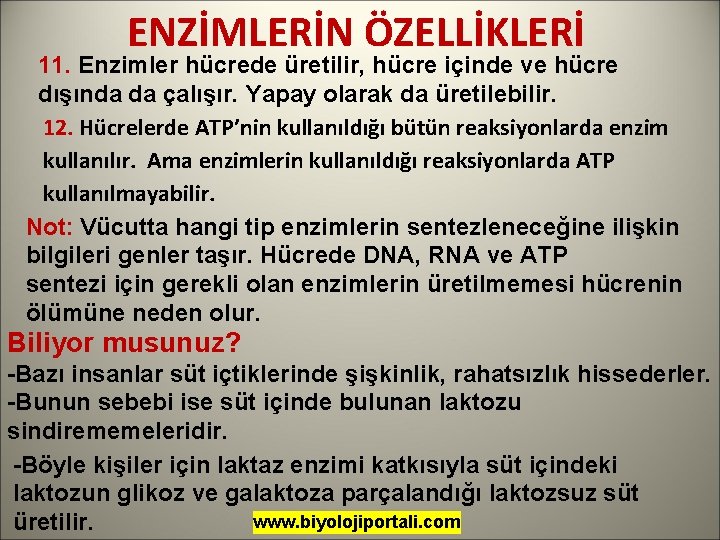 ENZİMLERİN ÖZELLİKLERİ 11. Enzimler hücrede üretilir, hücre içinde ve hücre dışında da çalışır. Yapay