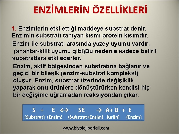 ENZİMLERİN ÖZELLİKLERİ 1. Enzimlerin etki ettiği maddeye substrat denir. Enzimin substratı tanıyan kısmı protein ENZİMLERİN ÖZELLİKLERİ 1. Enzimlerin etki ettiği maddeye substrat denir. Enzimin substratı tanıyan kısmı protein