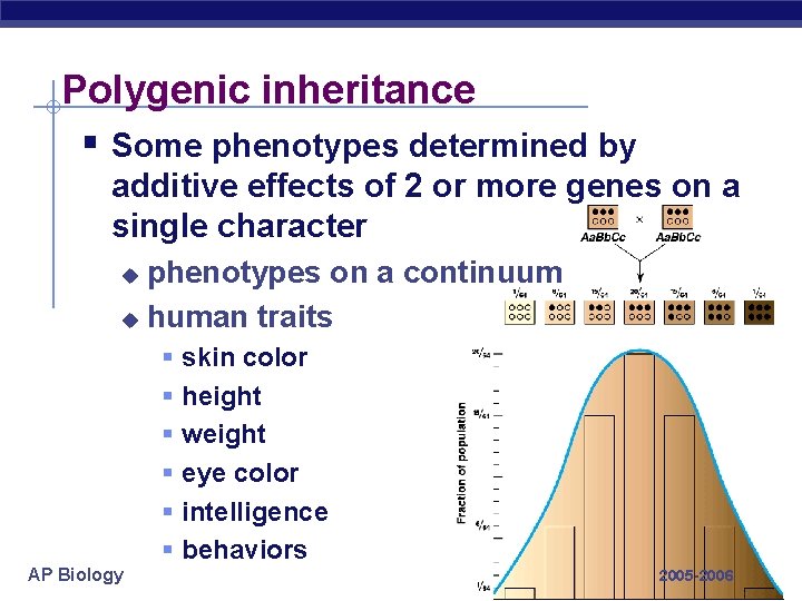 Polygenic inheritance § Some phenotypes determined by additive effects of 2 or more genes
