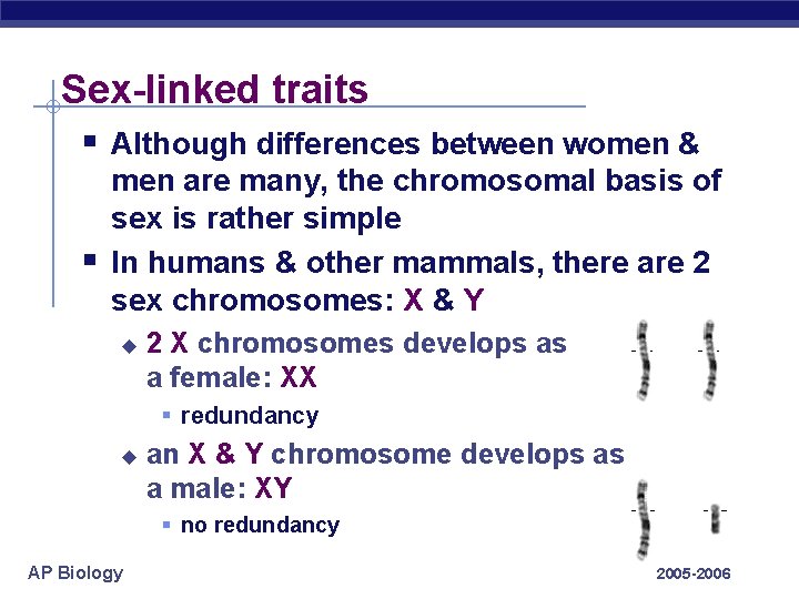 Sex-linked traits § Although differences between women & § men are many, the chromosomal