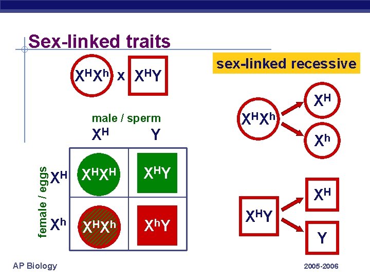 Sex-linked traits HX h x X HY HH XHh sex-linked recessive XH female /