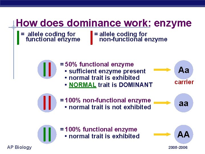 How does dominance work: enzyme = allele coding for functional enzyme AP Biology =