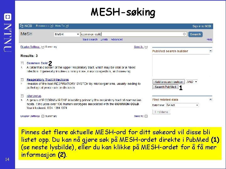MESH-søking 2 1 14 Finnes det flere aktuelle MESH-ord for ditt søkeord vil disse