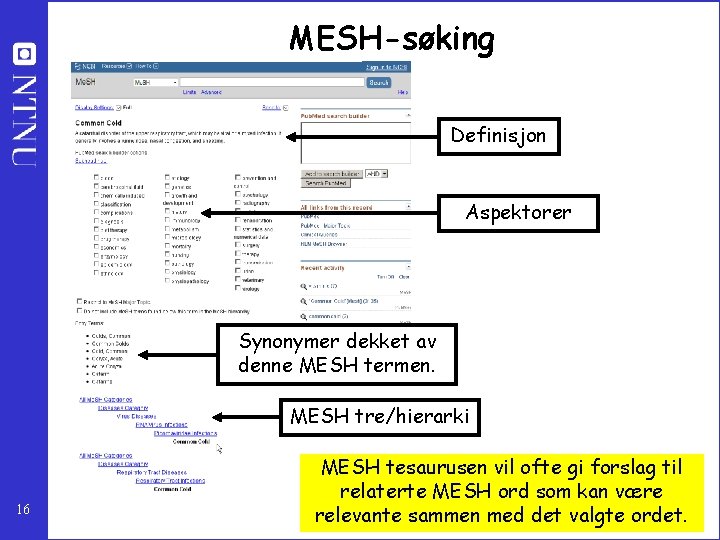 MESH-søking Definisjon Aspektorer Synonymer dekket av denne MESH termen. MESH tre/hierarki 16 MESH tesaurusen