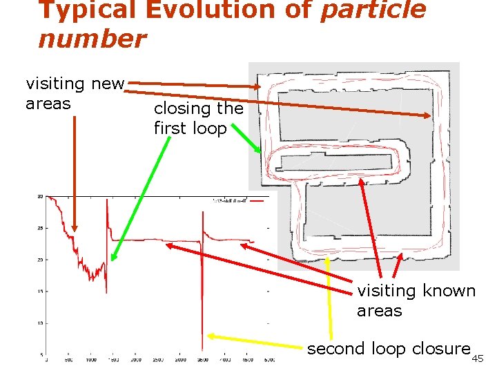 Typical Evolution of particle number visiting new areas closing the first loop visiting known