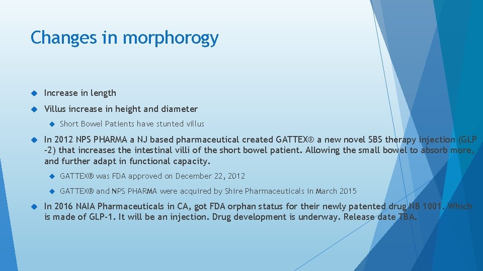 Changes in morphorogy Increase in length Villus increase in height and diameter Short Bowel