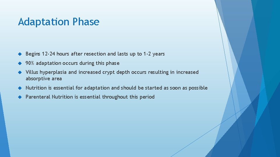 Adaptation Phase Begins 12 -24 hours after resection and lasts up to 1 -2