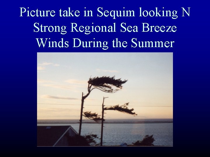 Picture take in Sequim looking N Strong Regional Sea Breeze Winds During the Summer