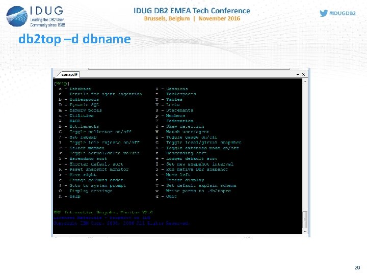 db 2 top –d dbname 29 