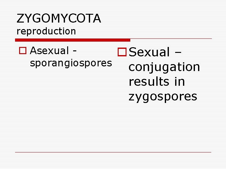 ZYGOMYCOTA reproduction o Asexual sporangiospores o Sexual – conjugation results in zygospores 