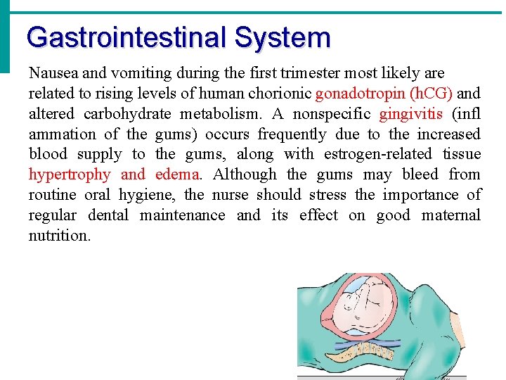 Gastrointestinal System Nausea and vomiting during the first trimester most likely are related to