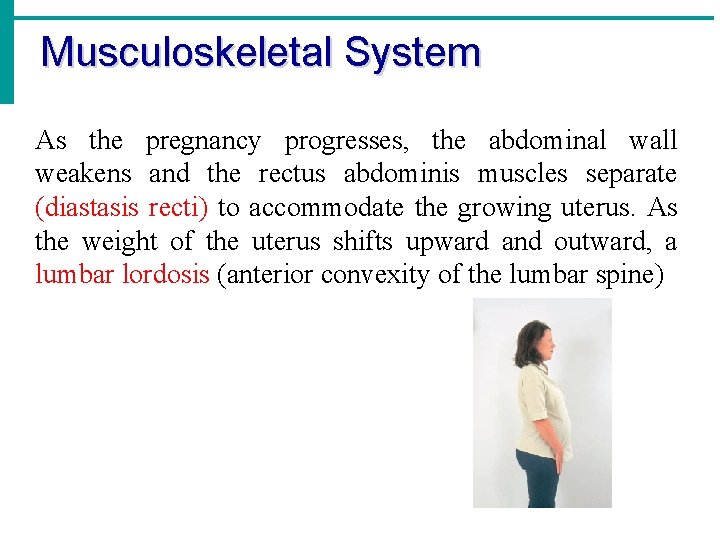 Musculoskeletal System As the pregnancy progresses, the abdominal wall weakens and the rectus abdominis