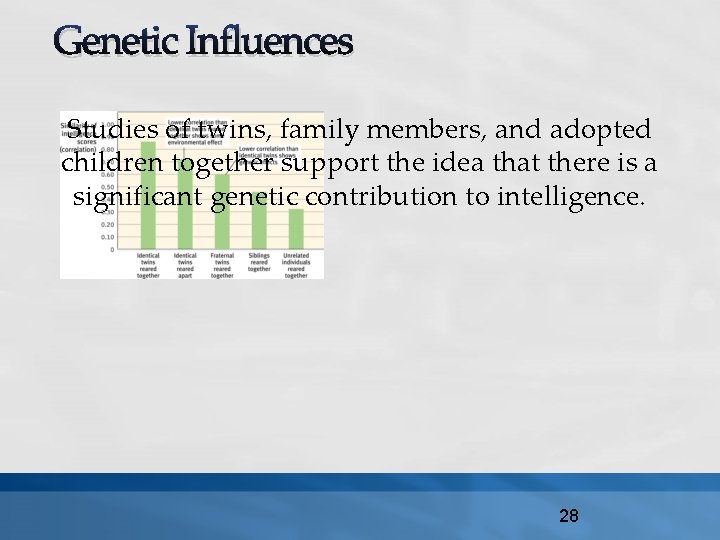 Genetic Influences Studies of twins, family members, and adopted children together support the idea